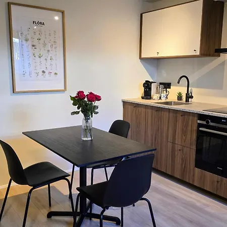 Apartament Calm And Leafy Laugardalur